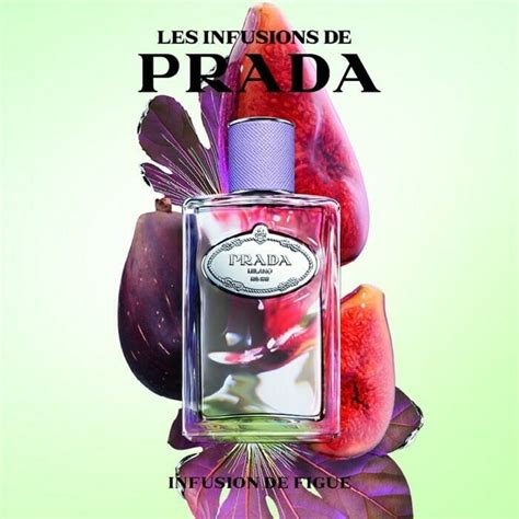 prada de figue